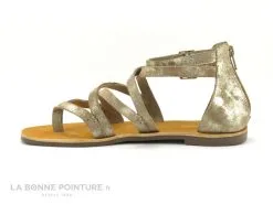 Les Tropéziennes M.Belarbi Tropeziennes PHARELL Beige Or - 23084 - Sandale Montante Tong -Magasin De Chaussures cd24607c73b9e66c561f35ea11d5d5ef img 2384.jpg 149327
