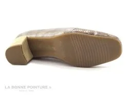 Pedi Girl BEN N Vison Bronze Escarpin Classique -Magasin De Chaussures cd24607c73b9e66c561f35ea11d5d5ef img 4746.jpg 104951