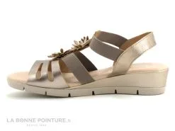 Valeria's Valerias 5090 Taupe - Bronze - Fleurs Relief - Sandale Femme 9 Valeria's Valerias 5090 Taupe - Bronze - Fleurs Relief - Sandale Femme -Magasin De Chaussures cd24607c73b9e66c561f35ea11d5d5ef img 5465.jpg 135051