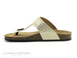 Geox D35LSK - BRIONIA Metal Lt Gold - Tong Femme Reglable Or 8 Geox D35LSK - BRIONIA Metal Lt Gold - Tong Femme Reglable Or -Magasin De Chaussures cd24607c73b9e66c561f35ea11d5d5ef img 7321.jpg 180617